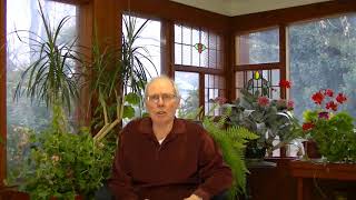 Movie 20a, photon refraction and reflection