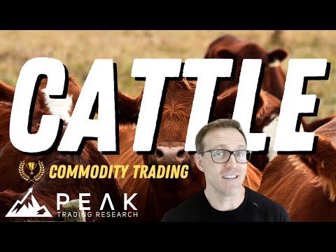 Live Cattle High Low Strategy | Strategy of the Month May 2023 | Systematic Commodity Trading