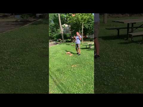 4th july 2019 chopping firewood 1