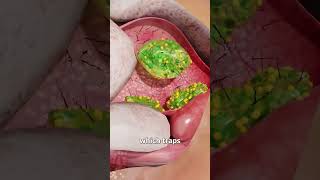 #techtalk#gadgetgeek#futuretech#techreview#techlover#robotics#wearabletech#techinsider# nextgentech