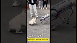 ai robot dog. who you think would win? 🏆 #ai
