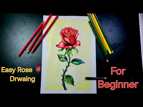 easy Rose Drwaing 🌹 for beginner #beginner #beginnerartists #rose #winterdrawing