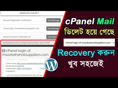 How to Recovery cPanel Email 2024 | How To Backup cPanel Email
