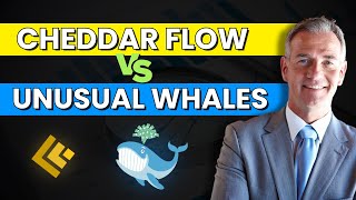 💚Cheddar Flow vs Unusual Whales 🔴 Shocking Results After Testing Both!