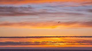 the beauty of the sunset
