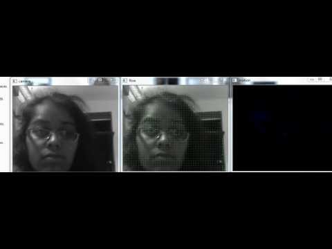 filtered optical flow