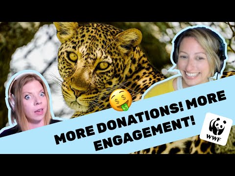 UX for Non-Profits: Critical Do's & Don’ts!