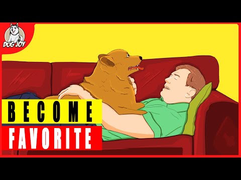 Canine Chemistry: The Art of Winning Your Dog's Heart