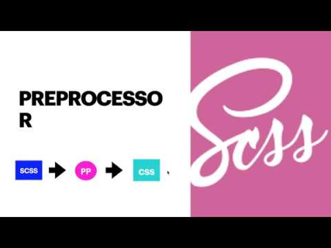 sass2