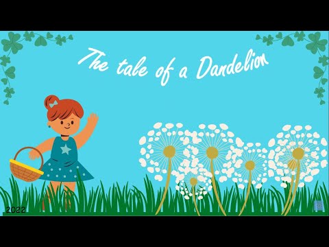 The tale of a Dandelion #story #dandelion #fun #leaning