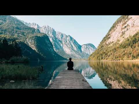 Most relaxing Music ever -  Forest Nature Sounds | 10minutes relaxing song for Sleeping