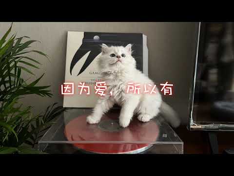 艾蜜荔直播