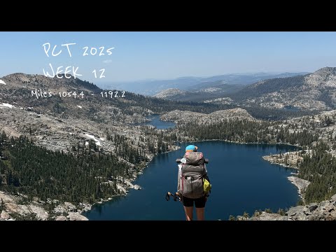 WEEK 12 THRU-HIKING THE PACIFIC CREST TRAIL! PCT NOBO 2025!