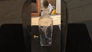 New comedy today video New Whatsaap  Status Today  Video iPhonecomedyvideo#tiktokviral  #viralshorts