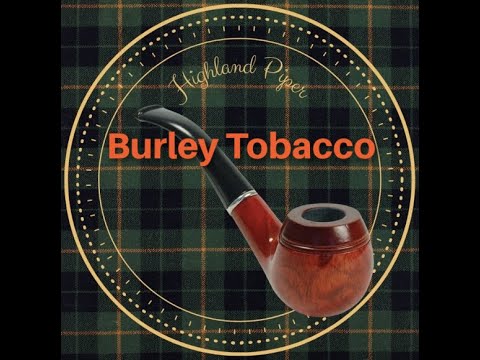 Exploring Burley Tobacco: From Field to Pipe