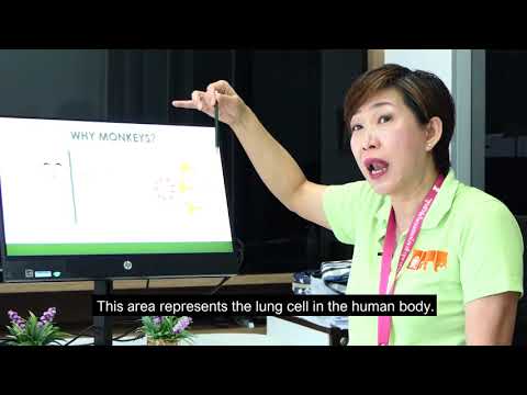 The COVID 19 Vaccine