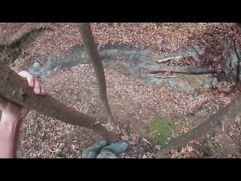 Me descending down a mountain: /w/ music