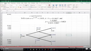 Valuation of futures options using binomial trees 2