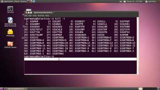 Process Control 2 - The kill and killall Commands