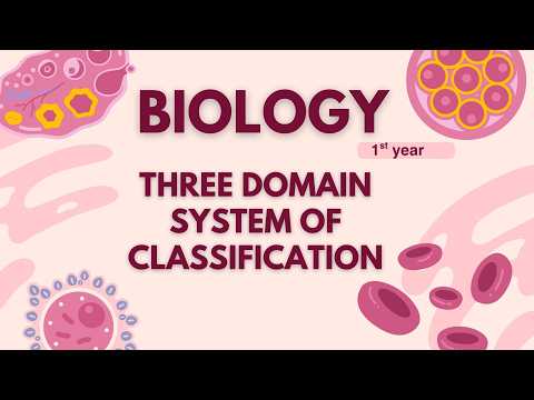 Three Domain system of classification,First year biology,Handwritten notes,easy explained