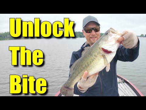Minnesota's Hidden Bass Secrets: From Heart to Hook!