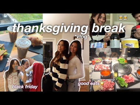 Thanksgiving Break Vlog | Black Friday shopping, baking, good eats, & more!