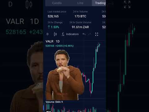 ✨ We're in our ₿itcoin era ✨#Bitcoin #cryptocurrency #memes #cryptomemes #pedropascal #valr #crypto