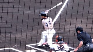 日本ハム 平沼翔太（敦賀気比） 巨人ヤングマンから強烈なセンター前ヒット 2018年4月7日