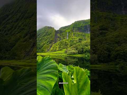 #TravelPortugal #Madeira #SãoMiguel #FloresIsland #VisitAzores #IslandVibes #ExploreNature
