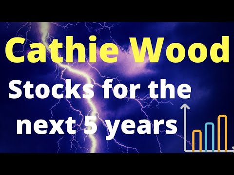 Cathie Wood stock picks for the next 5 years