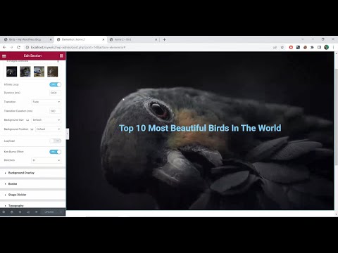 Full Stack Web Dev Free WP Session 03