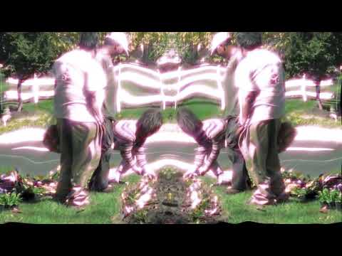 YTP - I Plant