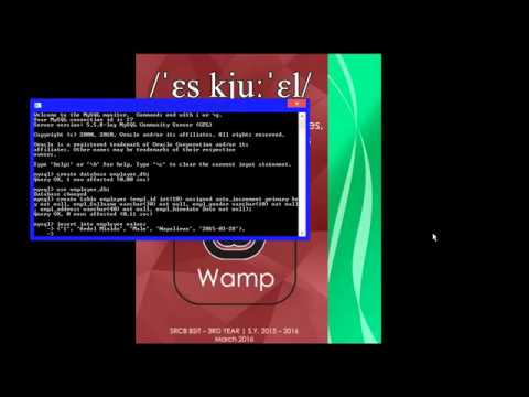 SRCB BSIT DBMS2: SQL LCase