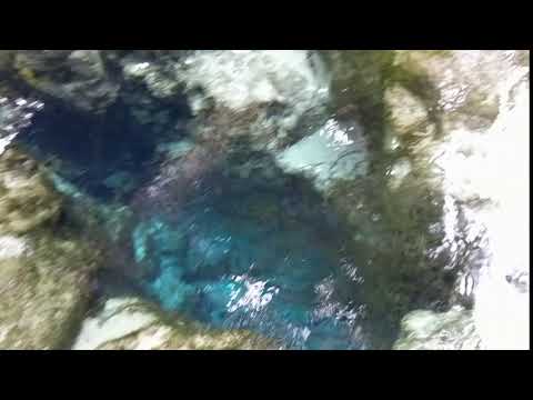 Hamurana Springs New Zealand