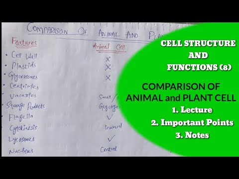 Comparison of Animal and Plant cell | MDCAT 2023 | Biology 1st year | The Cell