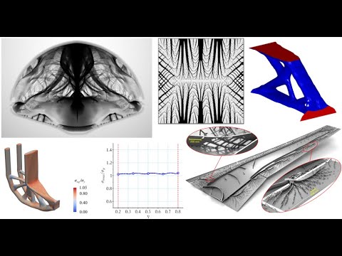 TOP Webinar 6: Large-scale and Efficient Topology Optimization Approaches