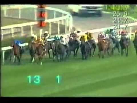 海外Ｇ１勝利！アグネスデジタル　【香港カップ】