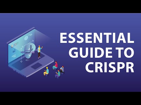 Essential Guide to Becoming a CRISPR Cas9 Expert  -  #ResearchersAtWork Webinar Series