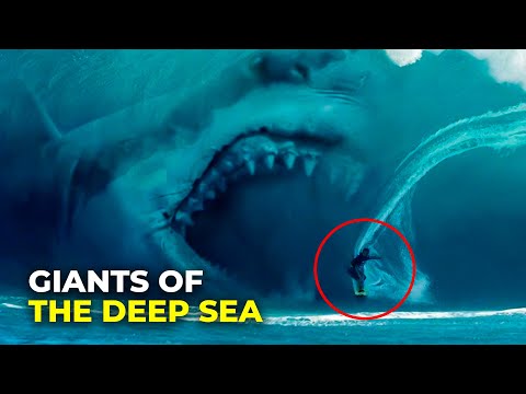 Largest deep sea animals ( 5 Giants of the Deep sea )