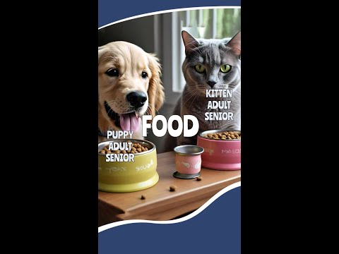 Your Pet's Nutrition: What Every Age Group Needs | My Pet Hospital #MyPetHospital #VeterinaryAdvice