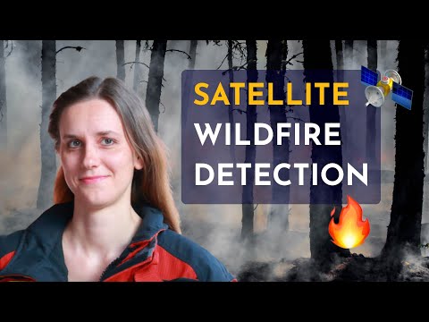Satellite Data Scientist, Wildfire Detection, Earth Observation 🛰️ Talk with Dr. Andrea Spichtinger