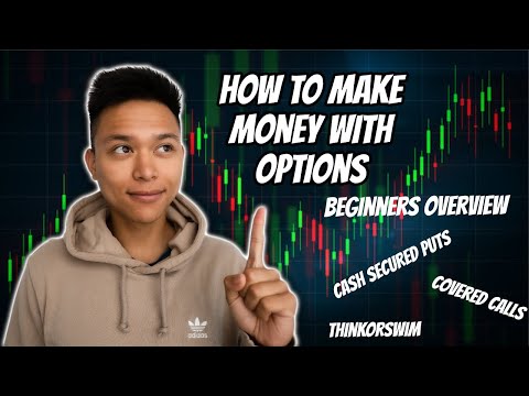 How to Make Money Trading Options (2021 Beginners Overview)