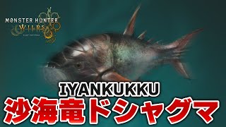 【モンハンワイルズ】元竜谷の跡地勢の最小金冠を今日こそ探します【モンスターハンターワイルズ  PC版 RTX5090】