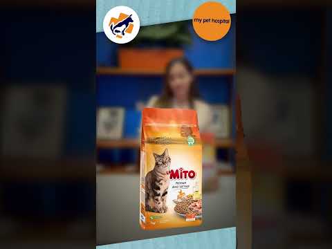 Mito Cat Food Review