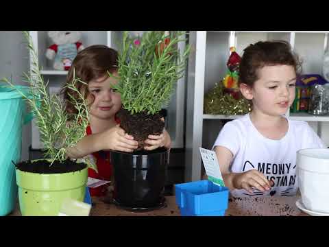 KIDS VLOGMAS DAY 9: A gift for our teachers