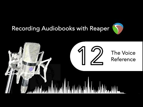 Part 12: The Voice Reference