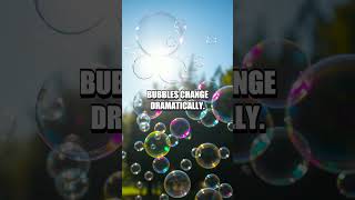 The Marvels of Homemade Soap-Bubble Science