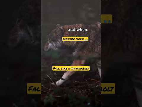 Fall like a Thunderbolt, Rule No 20#life #success #rules #achievements #shortsvideo#shorts#subscribe