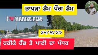 Bakhra dam ,  Pong dam, Harike Head water level today 
