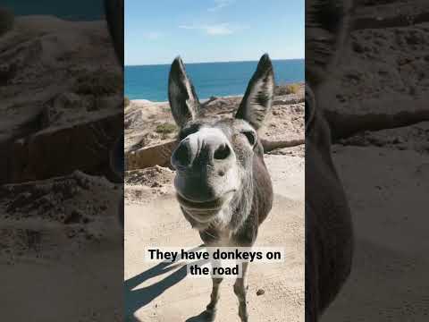 Mexico🇲🇽 & Canada🇨🇦 Differences. #shortstravel #lifeontheroad #mexico😫🥱 SUBSCRIBE!